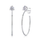 moissanite earrings hoop
